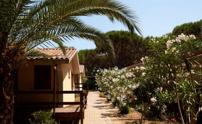 Villette con giardino e palme.