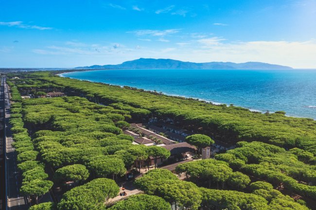 Vista dall'alto di costa e foresta.