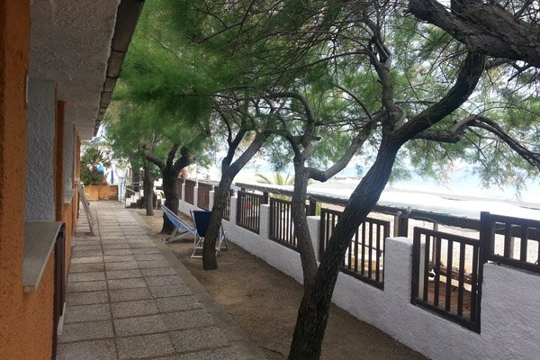 Vialetto costeggiato da alberi sul lungomare.