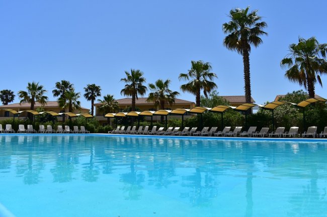 Piscina all'aperto con lettini e palme.