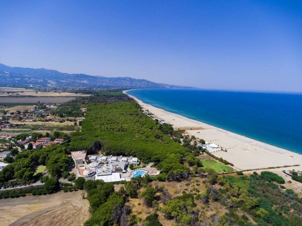 Vista aerea di una spiaggia e foresta costiera.