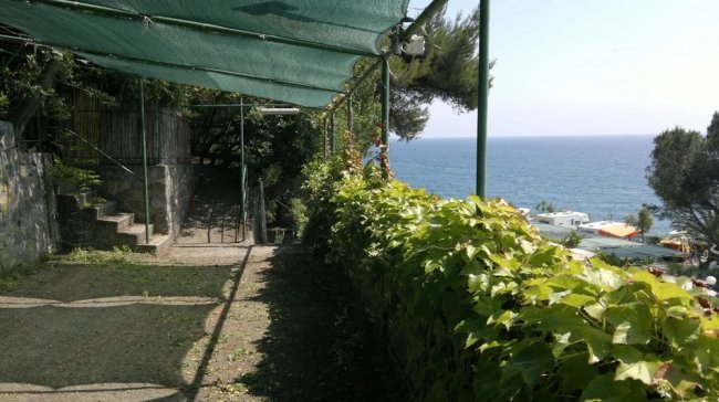 Sentiero ombreggiato vista mare.