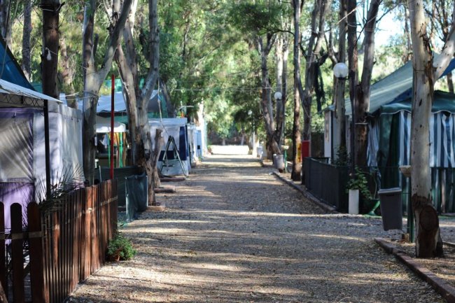 Sentiero alberato tra tende e casette verdi.