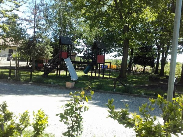 Un parco giochi con scivoli tra gli alberi.