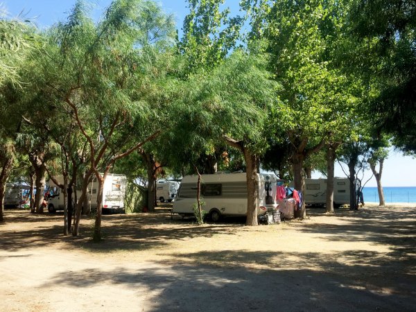 Camper sotto gli alberi vicino al mare.