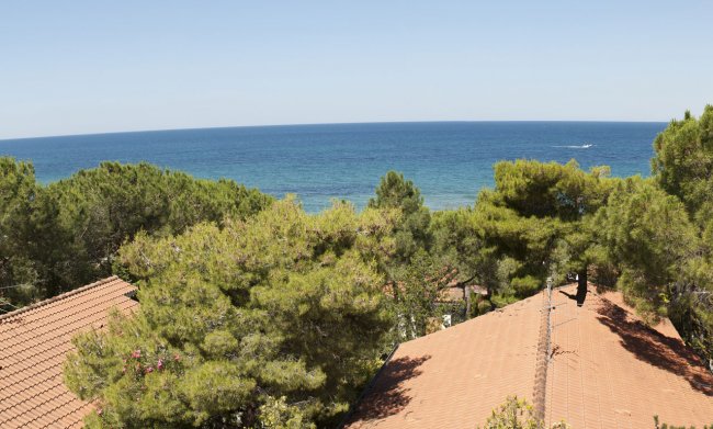Vista mare e tetti tra alberi.