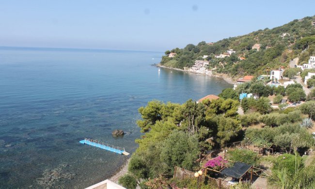 Spiaggia rocciosa con mare calmo e vegetazione rigogliosa.