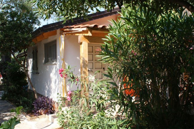 Facciata di una casa con piante fiorite.