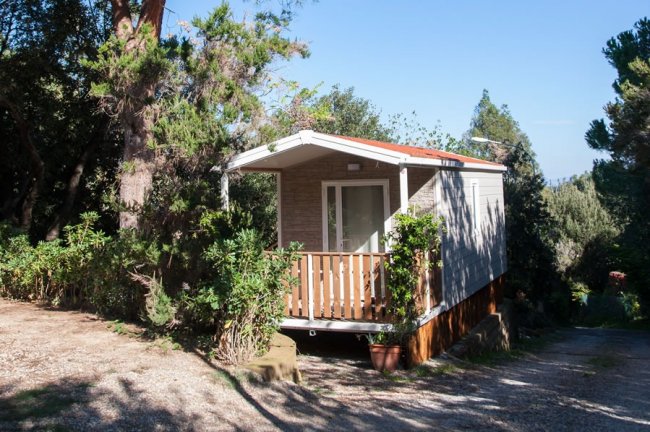 Piccola casa mobile in un'area verde con alberi.