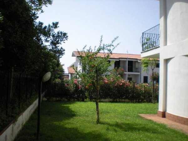 Giardino con erba, alberi e un edificio sullo sfondo.