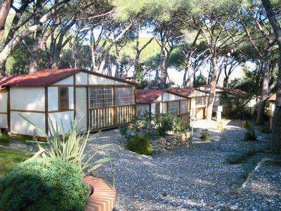 Bungalow in un'area boschiva con alberi e sentieri.