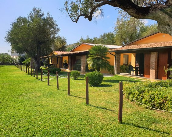 Bungalow gialli con giardino verde e alberi.