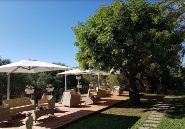 Terrazza con ombrelloni e sedie sotto gli alberi.
