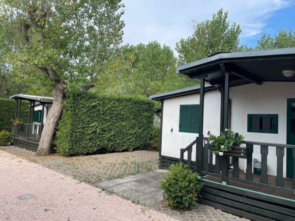 Bungalow con veranda e cespugli.