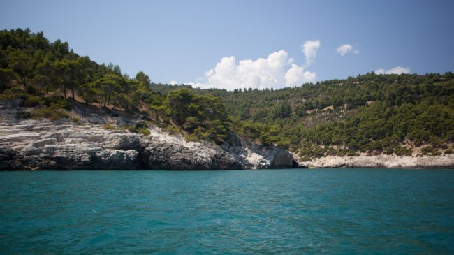 Costa rocciosa e boscosa affacciata su mare blu sotto cielo soleggiato.
