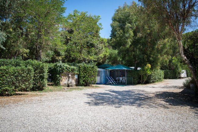 Piazzola con tenda tra alberi e cespugli.
