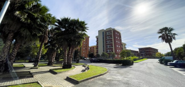 Esterni di edifici con palme e cielo sereno.