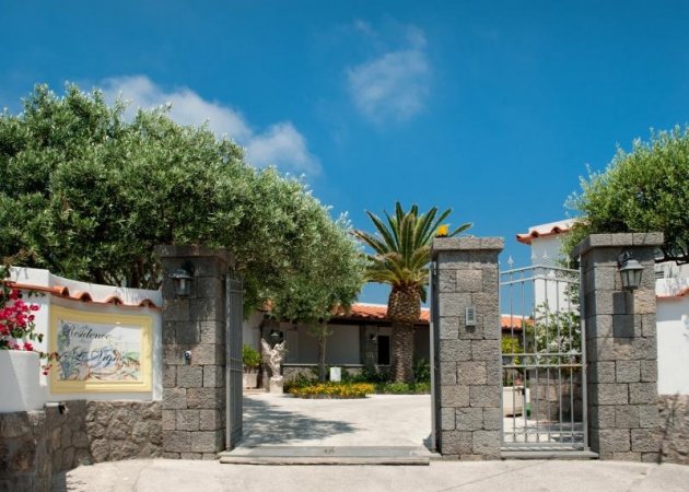 Entrata di villa con cancello e palme.