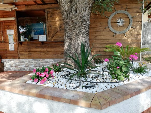 Aiuola con albero, fiori e ghiaia bianca.