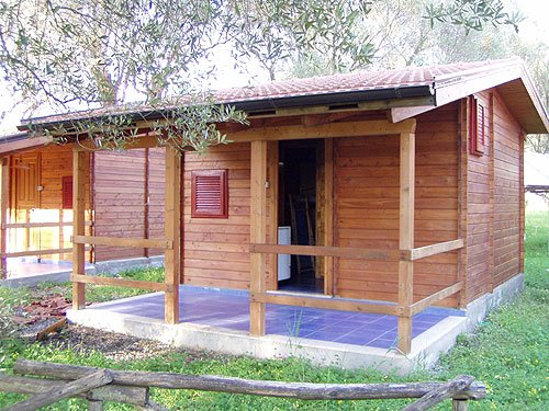 Casetta in legno con pavimento blu, circondata da alberi.