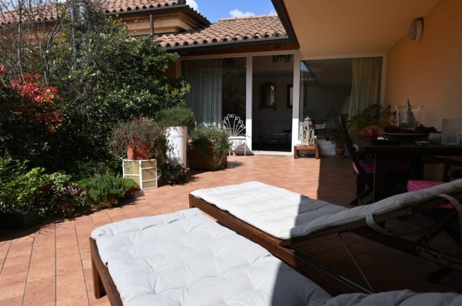 Terrazza con lettini e piante intorno.