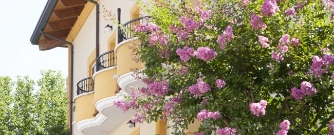 Edificio con balconi e albero fiorito.