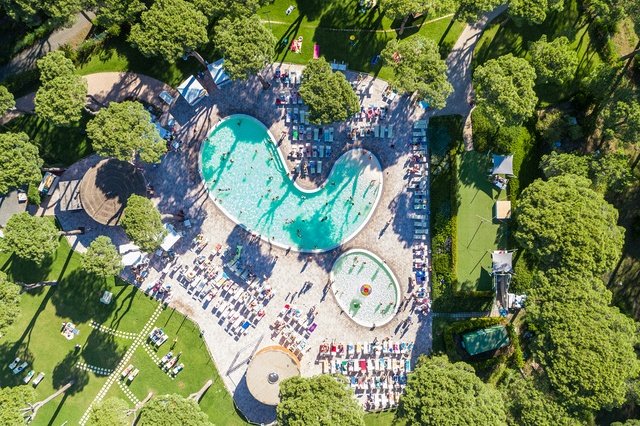 Vista aerea di una piscina a forma di fagiolo con lettini e ombrelloni.