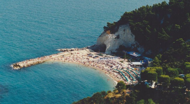 Una spiaggia affollata con vegetazione e mare blu.