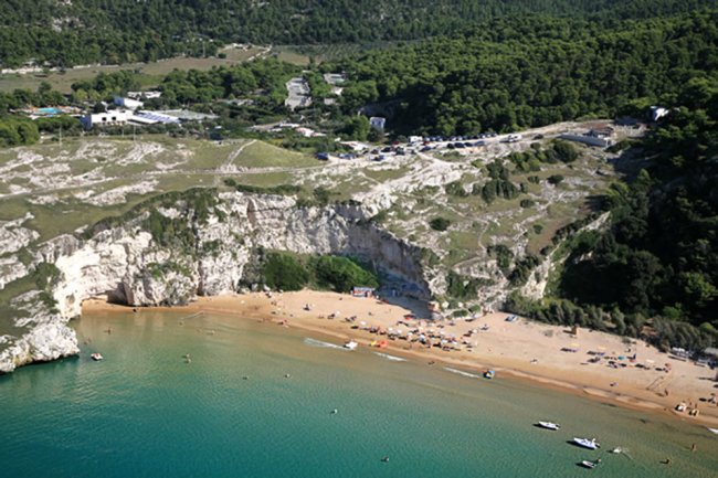 Spiaggia sabbiosa vista dall'alto con mare verde e scogliera.