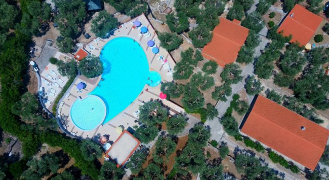 Piscina a forma di fagiolo vista dall'alto.