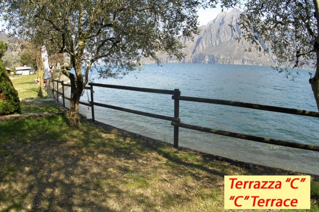 Vista lago da terrazza con staccionata e albero.