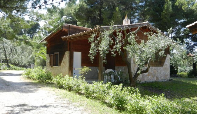 Bungalow in legno e pietra in mezzo agli alberi.