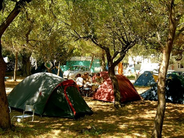 Campeggio con tende e persone sedute sotto gli alberi.