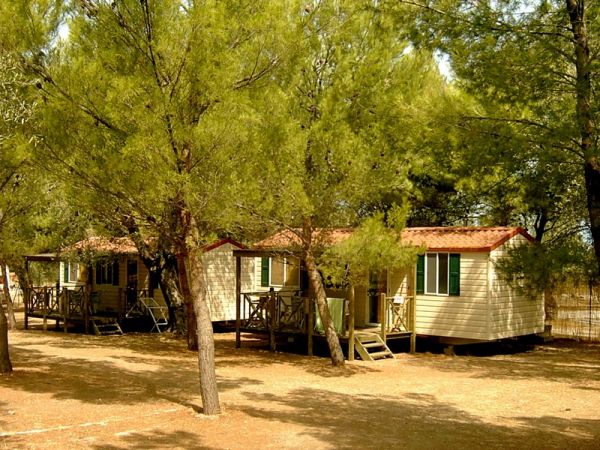 Case mobili tra alberi.