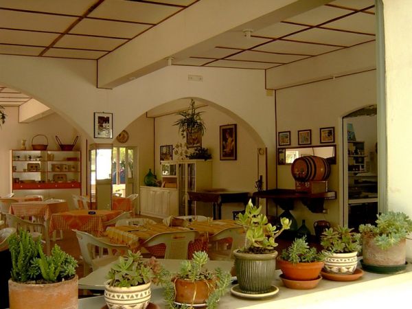 Interno di ristorante con piante in vaso.