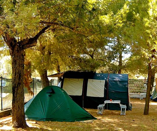 Tende da campeggio sotto alberi.