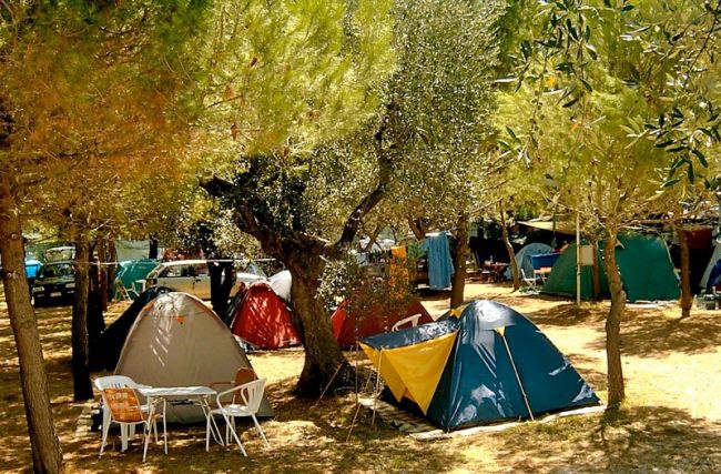 Tende da campeggio tra gli alberi.