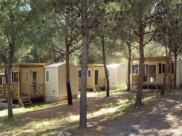 Bungalow gialli tra pini.