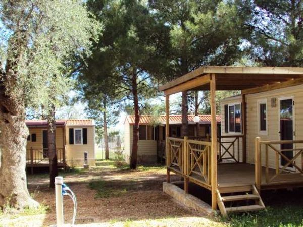 Case mobili in legno tra alberi.