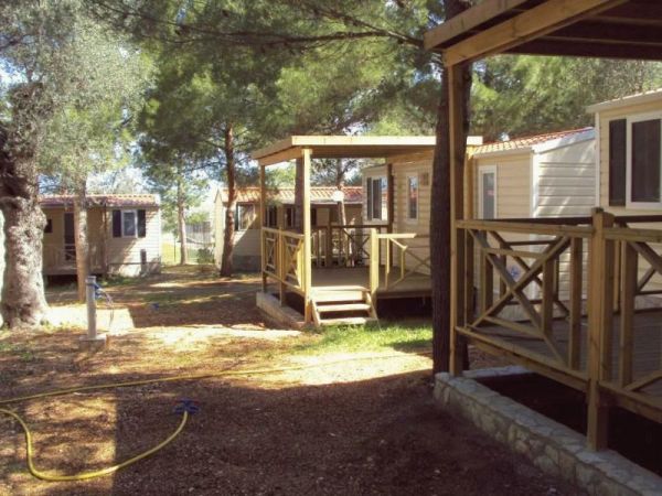 Case mobili in un campeggio tra gli alberi.