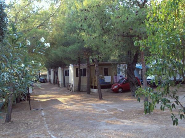 Case mobili con auto parcheggiate tra gli alberi.