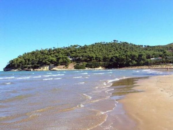 Spiaggia sabbiosa e mare con vista di collina alberata.