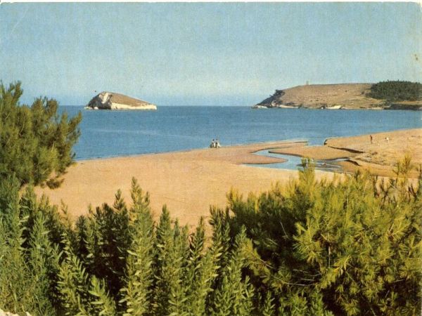Spiaggia con vegetazione, mare e due isole in lontananza.