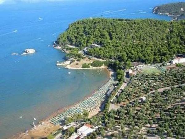 Vista aerea di una costa boscosa con spiaggia.