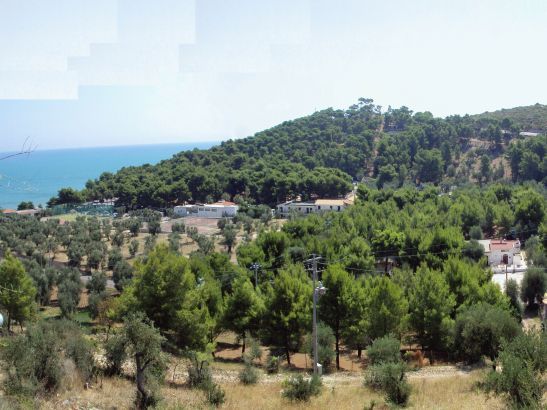 Collina verdeggiante con alberi e case vicine al mare.