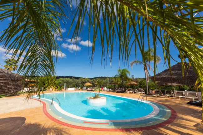 Piscina con palme e cielo blu.
