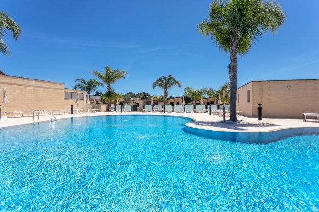 Piscina con bordo arrotondato e palme intorno.