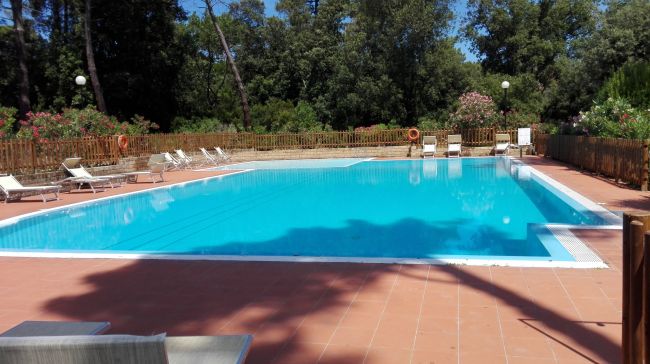 Piscina circondata da lettini e alberi.