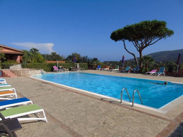 Piscina con lettini e albero sullo sfondo.