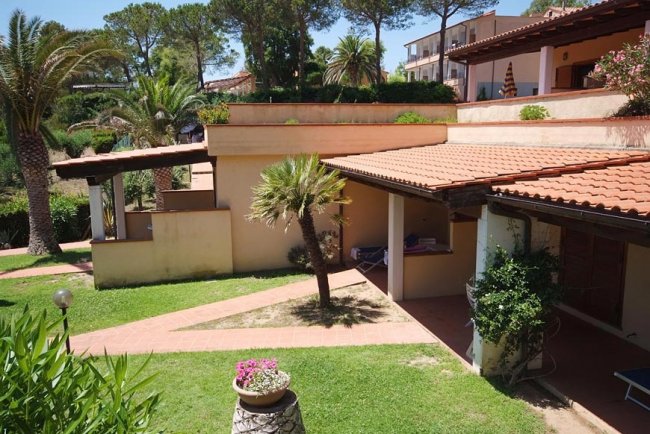 Giardino con edifici e palme.